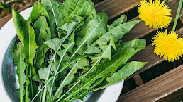 Dandelion leaves for liver detox