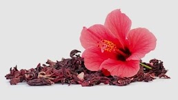 Hibiscus Flowers for cholesterol management