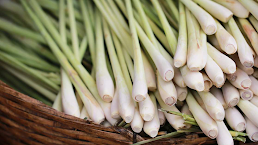 Lemongrass for digestion and detox